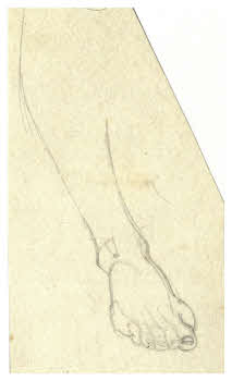 Visualizza l'immagine "FD D 2350"